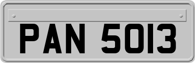 PAN5013