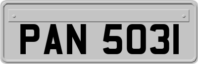 PAN5031