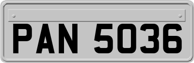 PAN5036