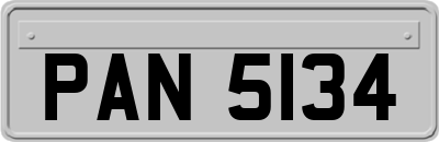 PAN5134