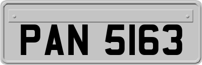 PAN5163