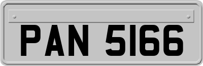 PAN5166
