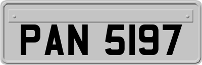 PAN5197