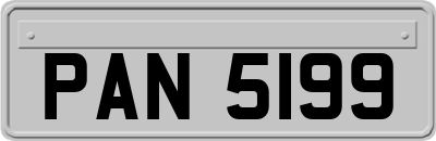 PAN5199
