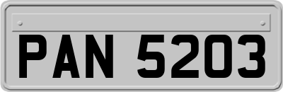 PAN5203