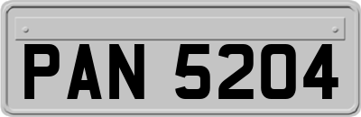 PAN5204