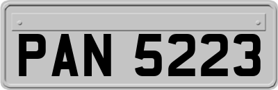 PAN5223