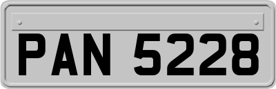 PAN5228