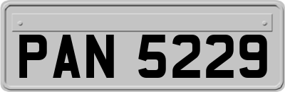 PAN5229