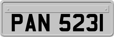 PAN5231