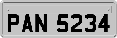 PAN5234