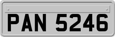 PAN5246