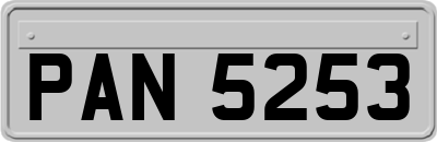 PAN5253
