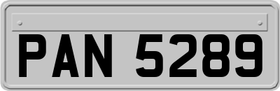 PAN5289