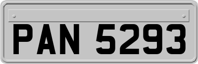 PAN5293