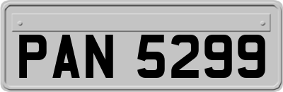 PAN5299
