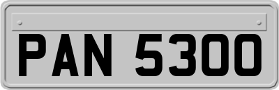 PAN5300