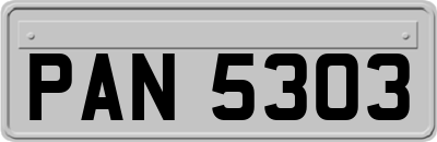 PAN5303