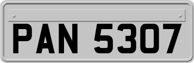 PAN5307