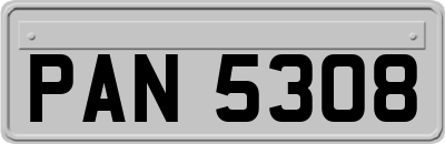 PAN5308