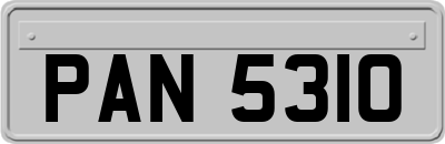 PAN5310