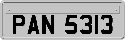 PAN5313