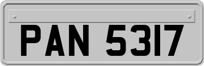 PAN5317