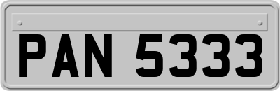 PAN5333