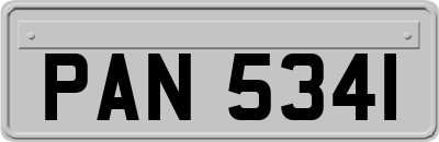 PAN5341