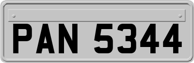 PAN5344