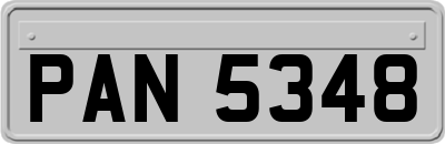 PAN5348