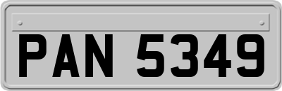 PAN5349
