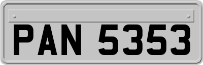 PAN5353