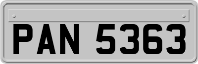 PAN5363