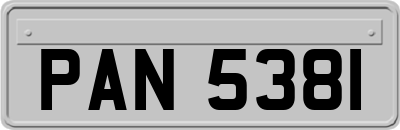PAN5381