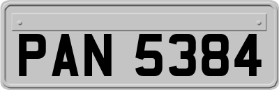 PAN5384