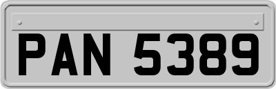 PAN5389