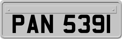 PAN5391