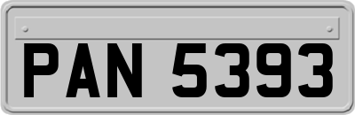 PAN5393