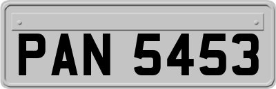 PAN5453
