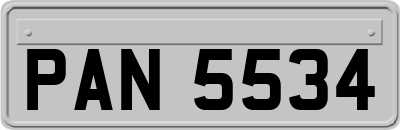 PAN5534