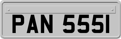 PAN5551