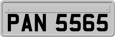 PAN5565