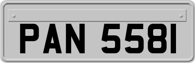 PAN5581
