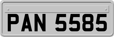 PAN5585