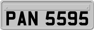 PAN5595