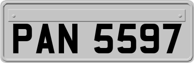 PAN5597