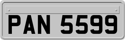 PAN5599