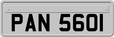 PAN5601