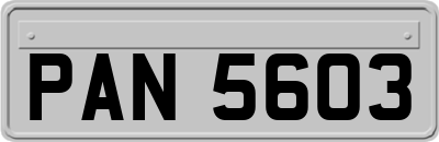 PAN5603